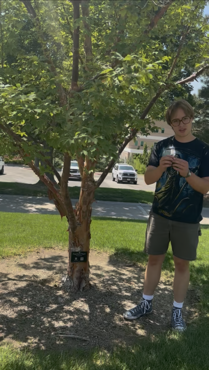 Tree Tour With Tommy!